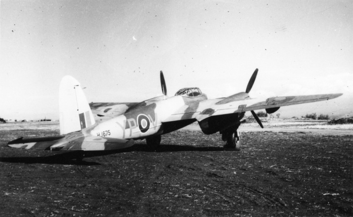 Mosquito